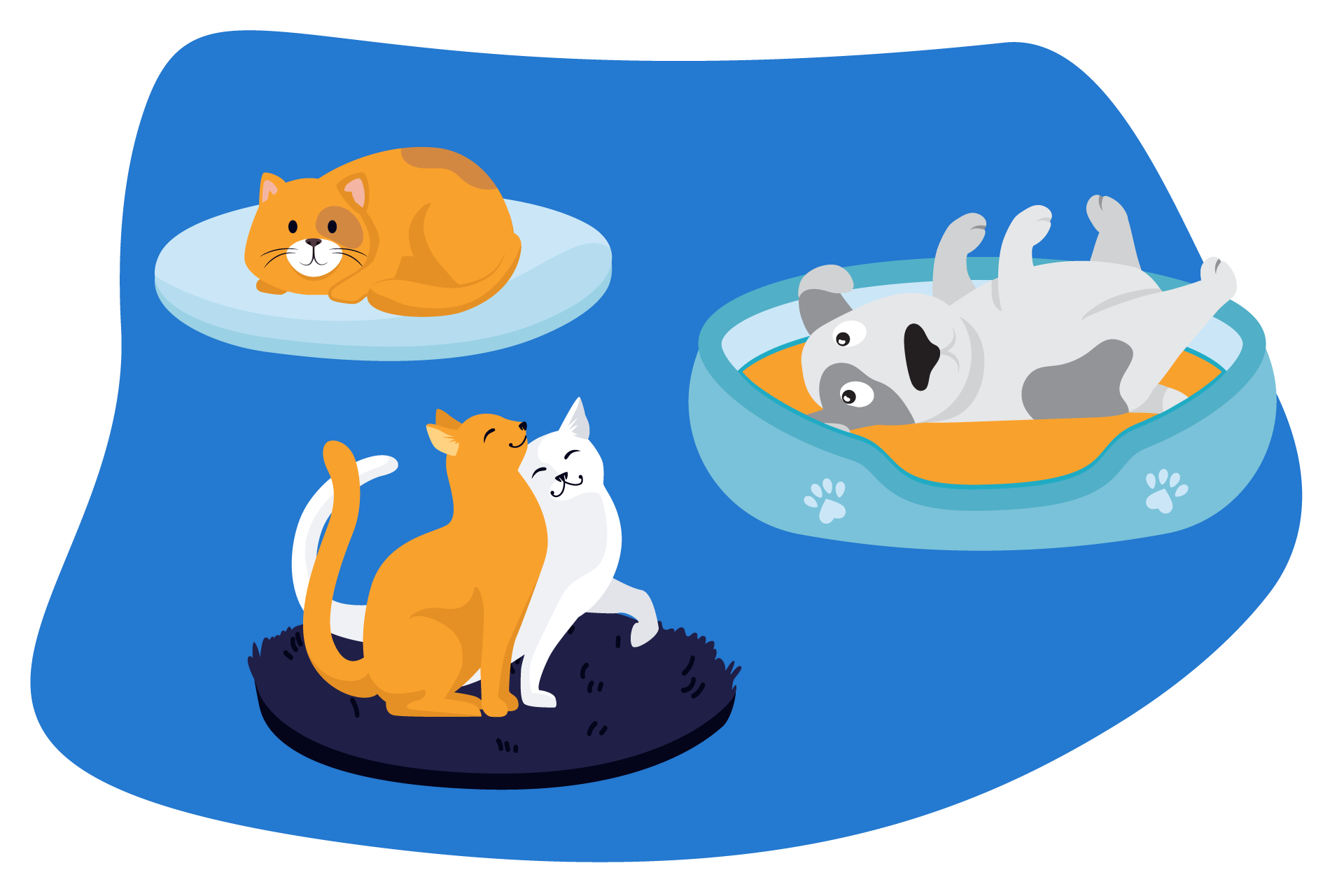 Tipos de camas para perros.