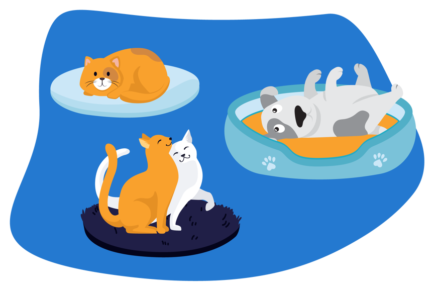 Tipos de camas para perros.