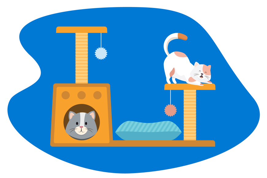 Comprar cama para perro.