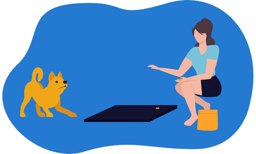 Camas para mascotas refrescantes.