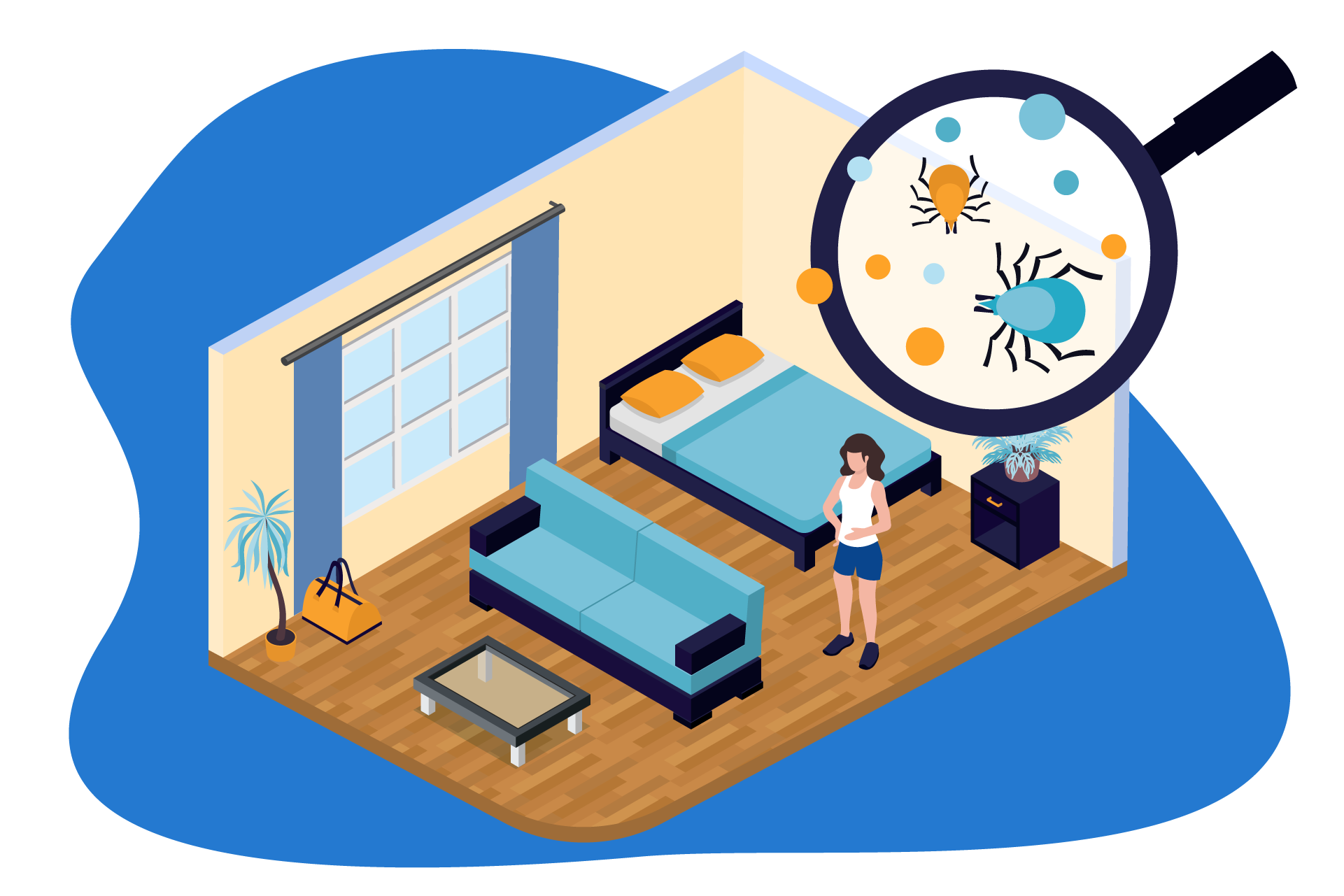 chinche de cama casa