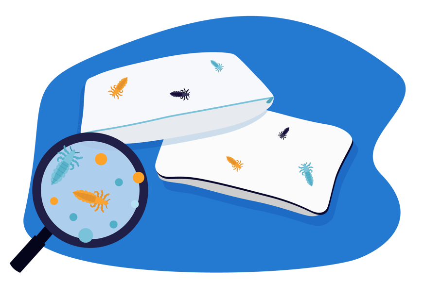 almohadas con piojos