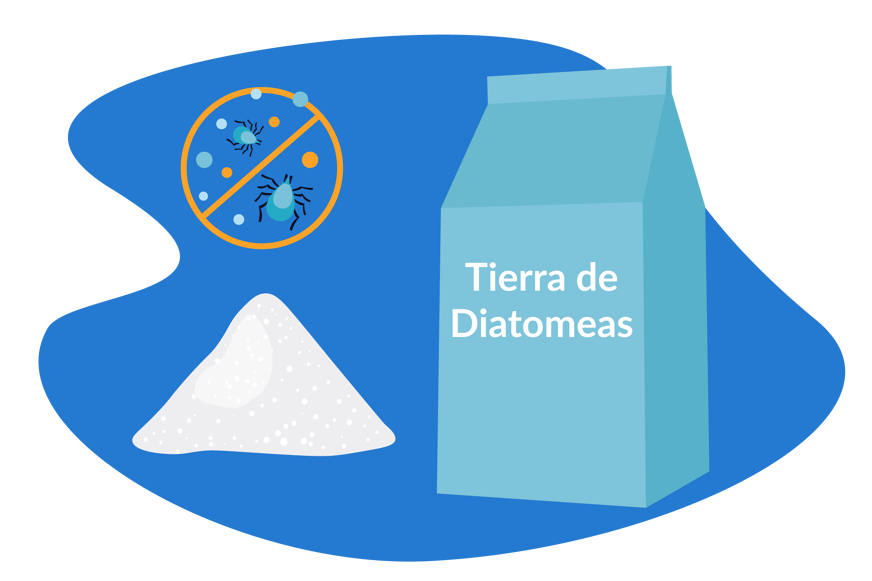 tierra de diatomeas
