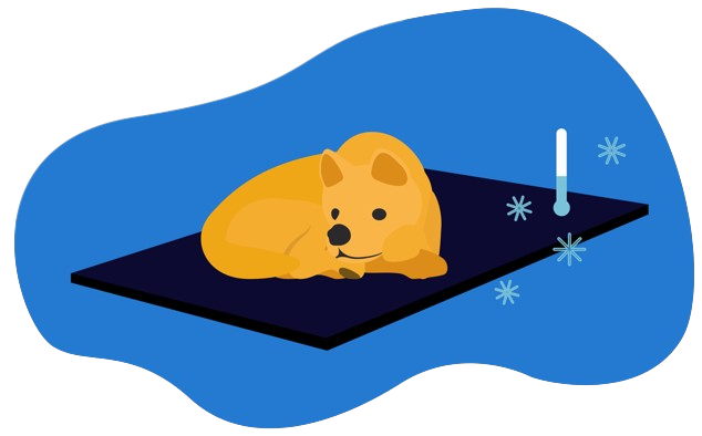 Camas frescas para perros.