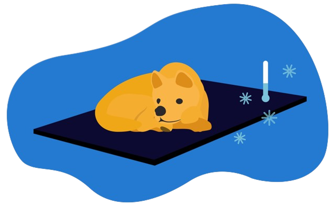 Mejor cama refrescante para perro