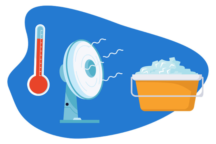 Ventiladores de pie rebajados.