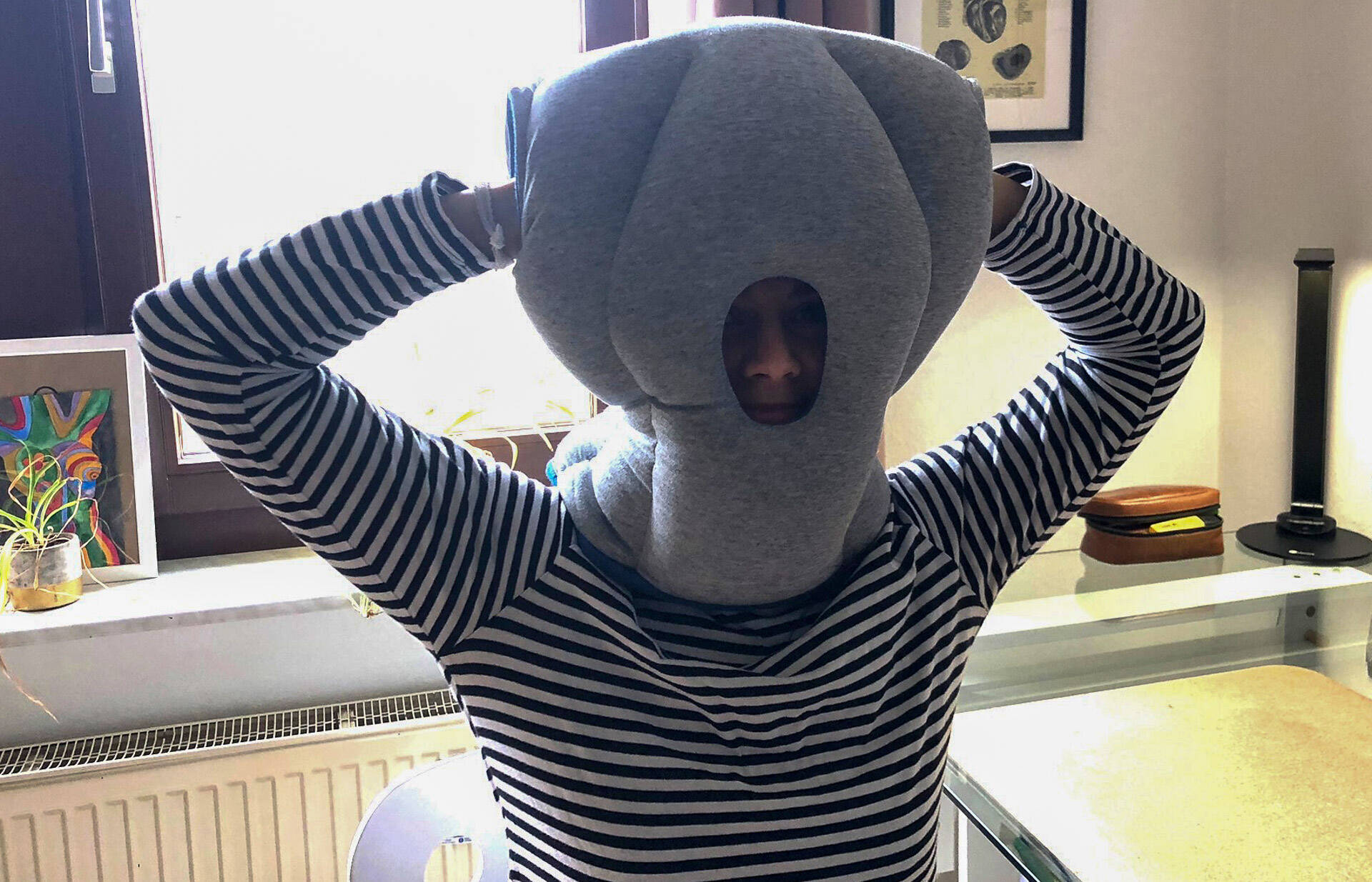 prueba ostrichpillow