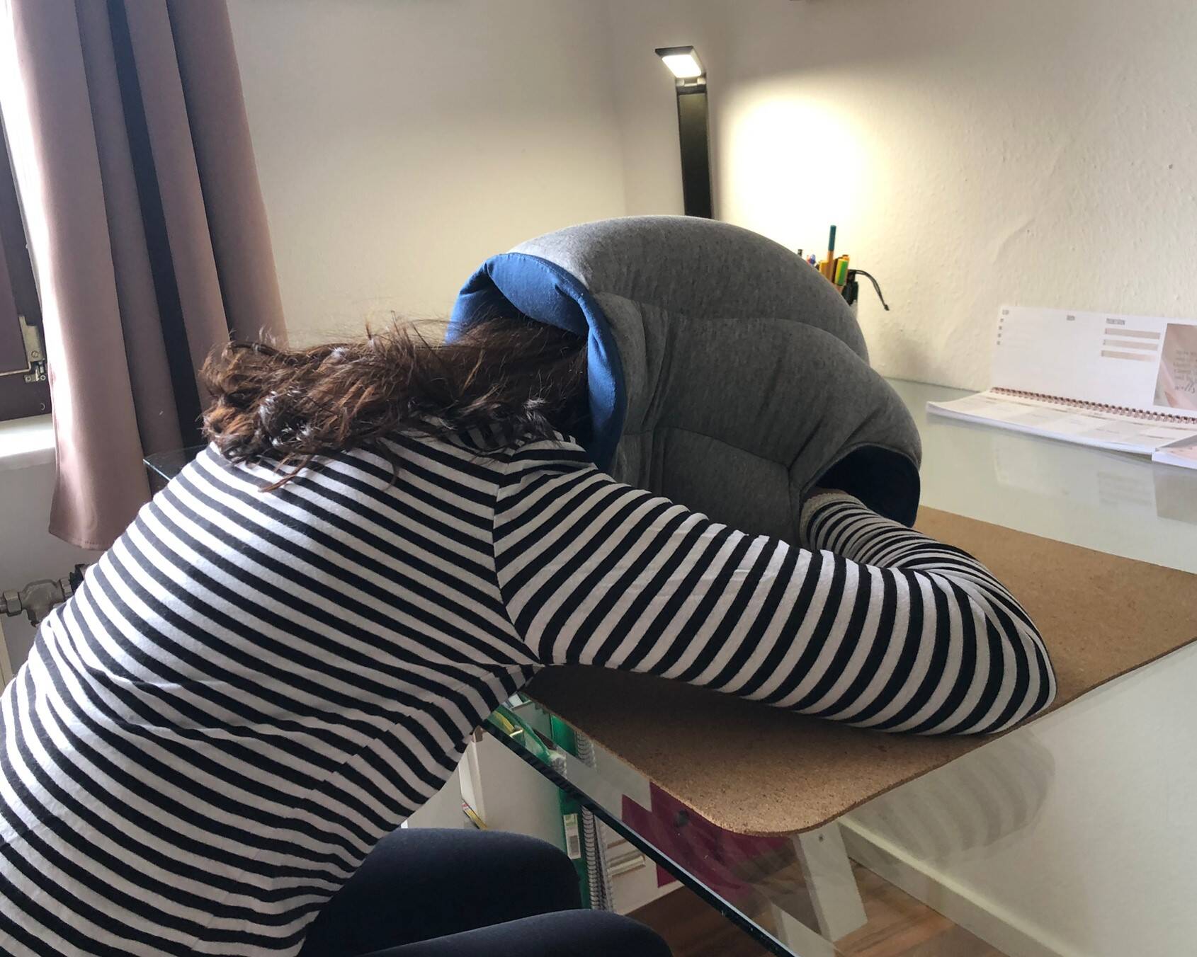 probando ostrichpillow