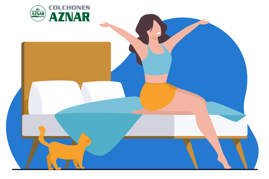 colchones aznar quienes son