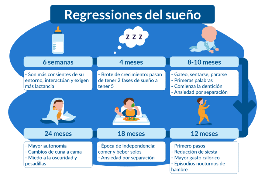 etapas regresión del sueño