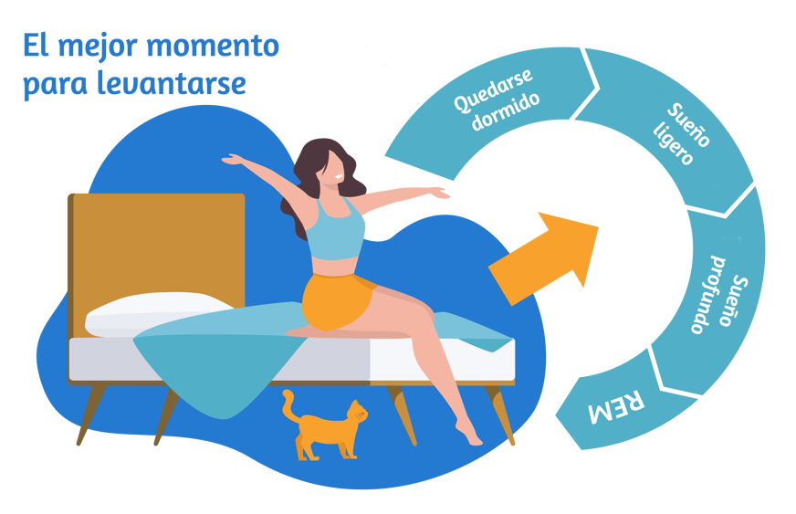 que es ciclo de sueño